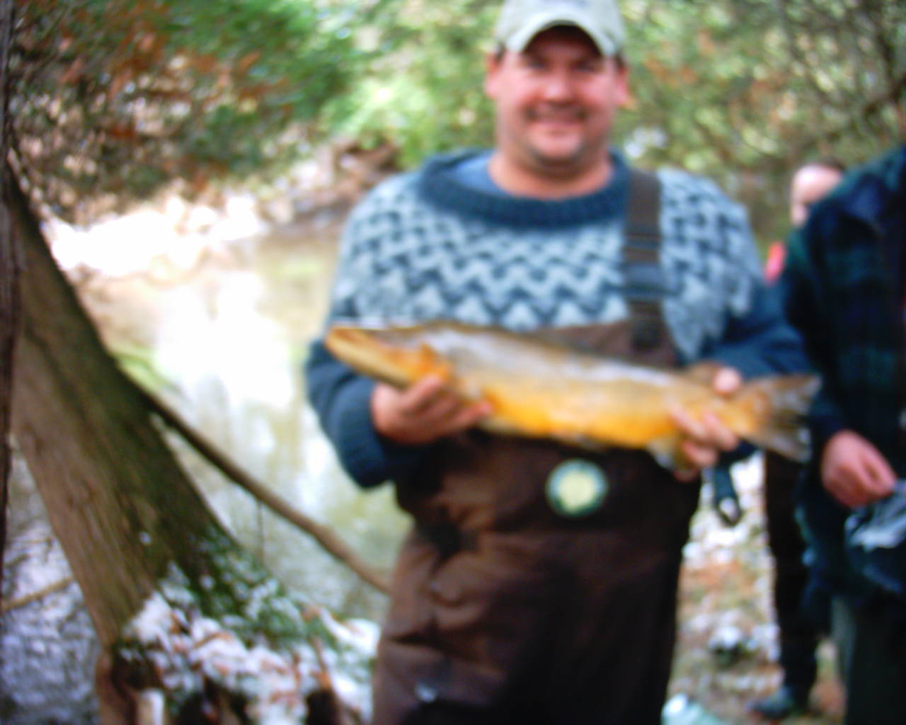 nice brown trout male